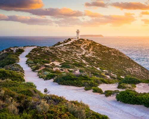 Plan management South Australia