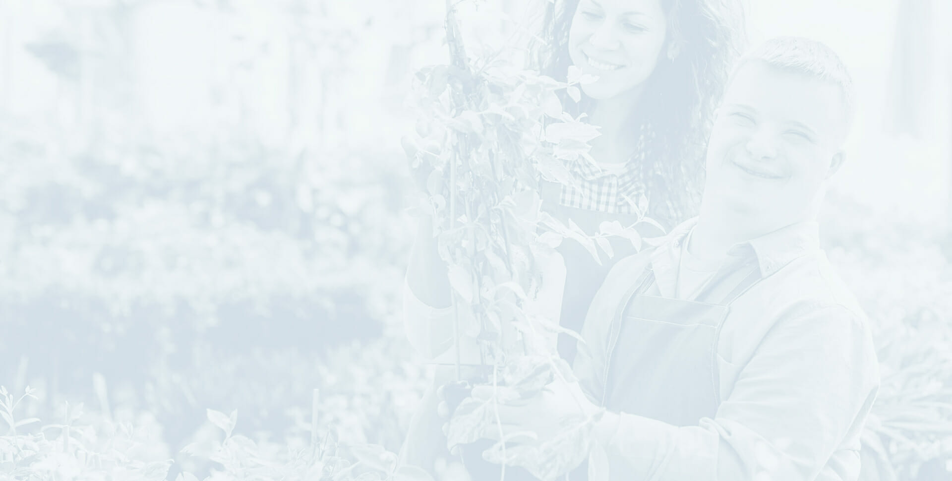 NDIS price guide Banner